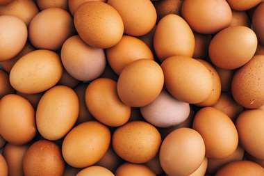 

Minister of Agriculture Mahinda Amaraweera stated that although the cost for producing an egg in Sri Lanka is Rs. 30, the price of a local egg in the market has risen to Rs. 60.


