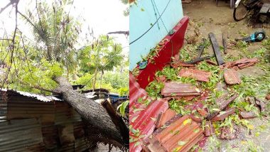 

காற்றுடன்கூடிய மழை காரணமாக யாழ்ப்பாணத்தில் முன்று குடும்பங்களைச் சேர்ந்த 14பேர் பாதிக்கப்பட்டுள்ளதாக யாழ்ப்பாணம் மாவட்ட அனர்த்த முகாமைத்துவ பிரிவின் பிரதிப் பணிப்பாளர் ரி.என்.சூரியராஜா தெரிவித்துள்ளார். 


